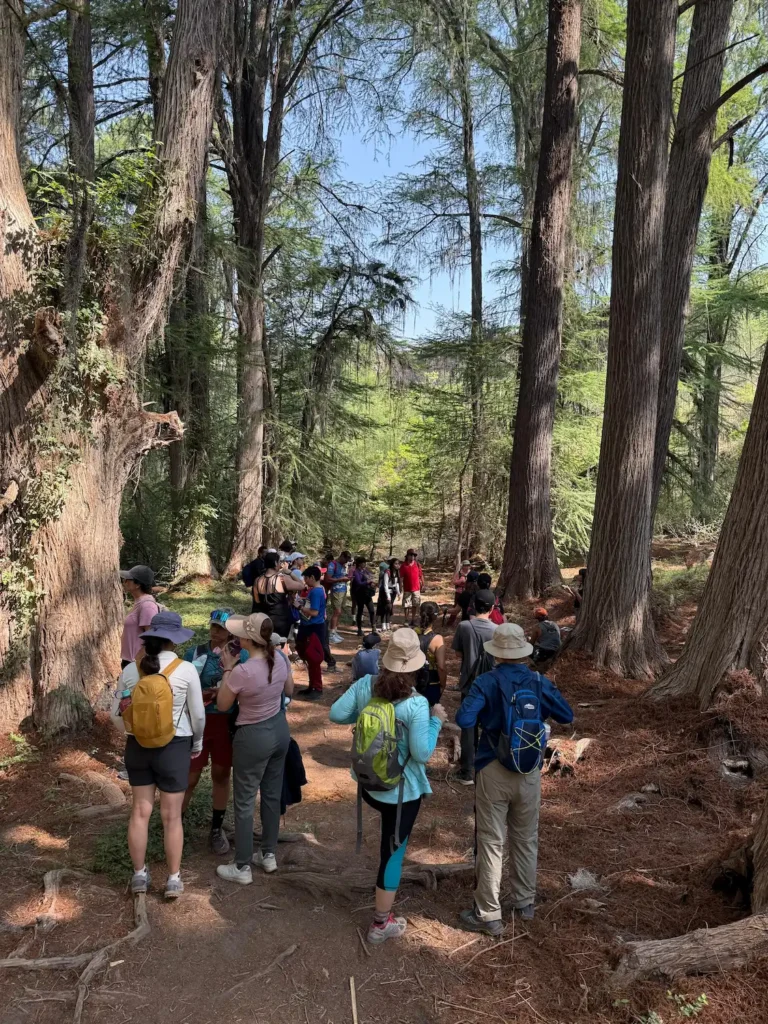 Caminata San Quintin, grupo avanzando en la caminata